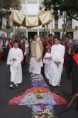 /album/festa-sss-2012/img-3367-jpg/